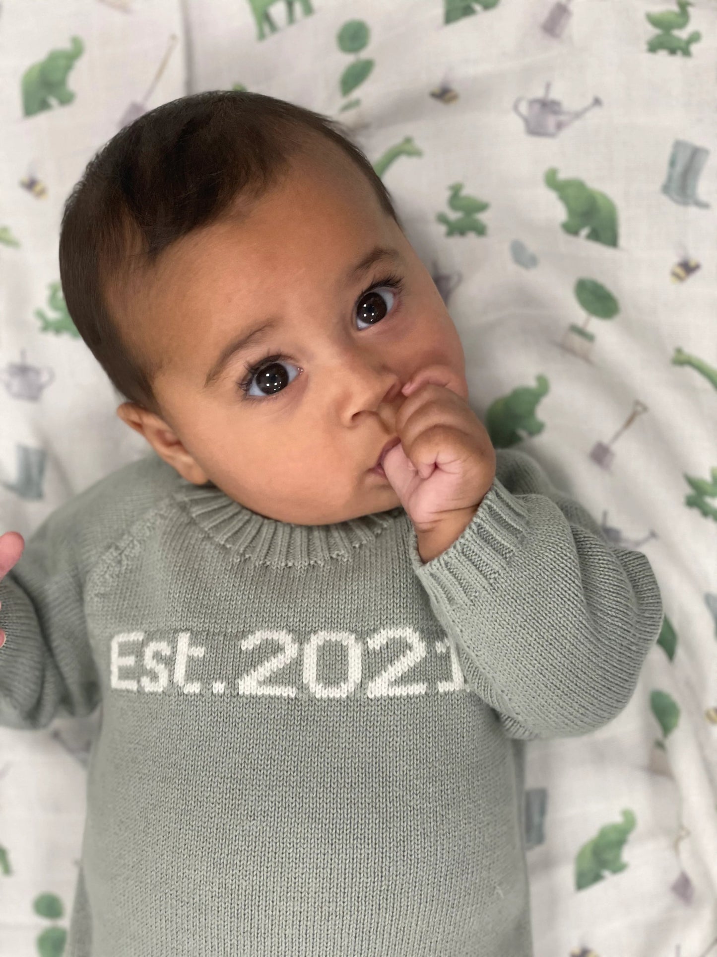 Organic Est. 2024 Jumper - Raspberry - The Baby Cot Shop, Chelsea