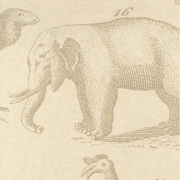 Ark Sand Wallpaper - The Baby Cot Shop, Chelsea