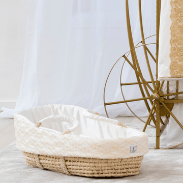 How do I choose the perfect Moses Basket for my baby?