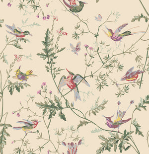Hummingbirds Archive Anthology Wallpaper
