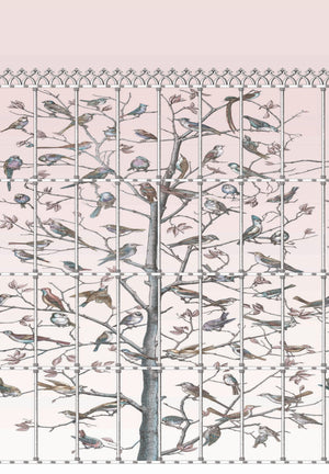 Uccelli Wallpaper