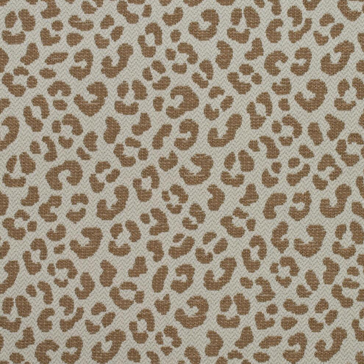 Wildcat Fabric